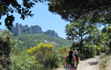 hiking in provence in the mistral wind