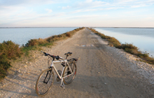 self guided cycling in camargue and provence famous for bullfights