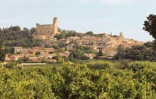 cycling in chateauneuf du pape vineyards wine