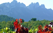 best rides in a self guided cycling trip in europe in france in provence