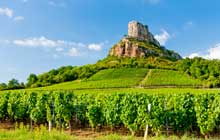 cycling on the grand cru wine route in burgundy france