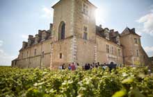 self-guided walking holiday france in Burgundy in th efamous chateau clos vougeot wine estate