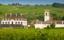 self-guided hiking holiday Burgundy in Chateau Pommard vineyards in France