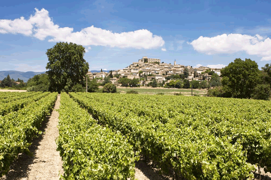 Short-break cycling tours in Provence