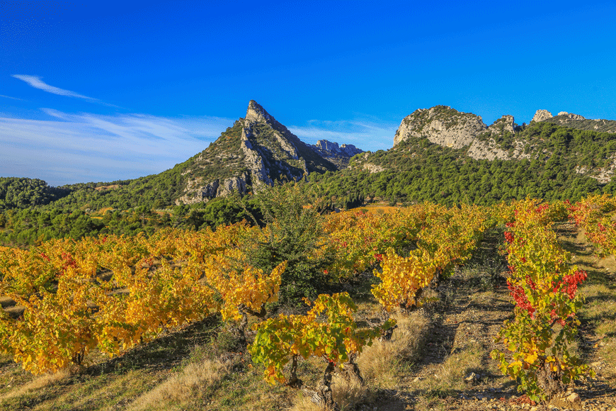 Why visit Provence in fall?
