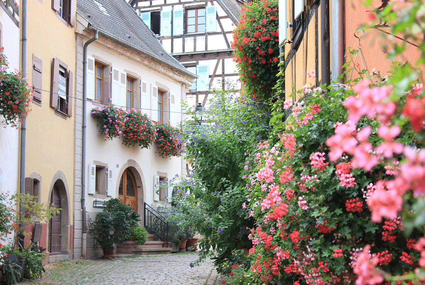 What to do in the Alsace region